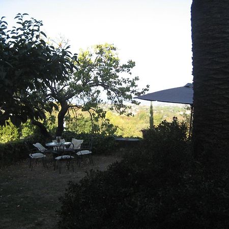 B&B Villa Panicucci Livorno Zewnętrze zdjęcie