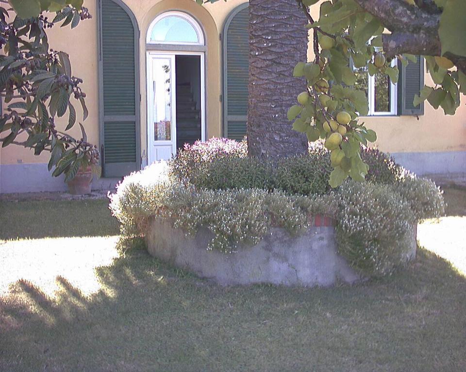 B&B Villa Panicucci Livorno Pokój zdjęcie