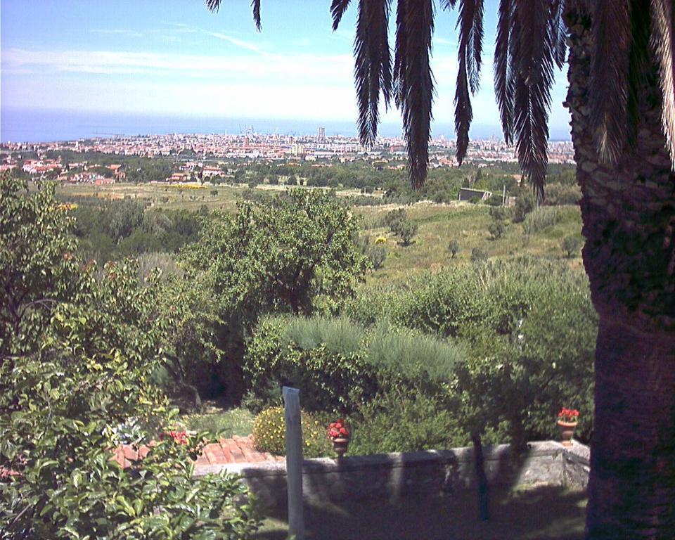 B&B Villa Panicucci Livorno Pokój zdjęcie