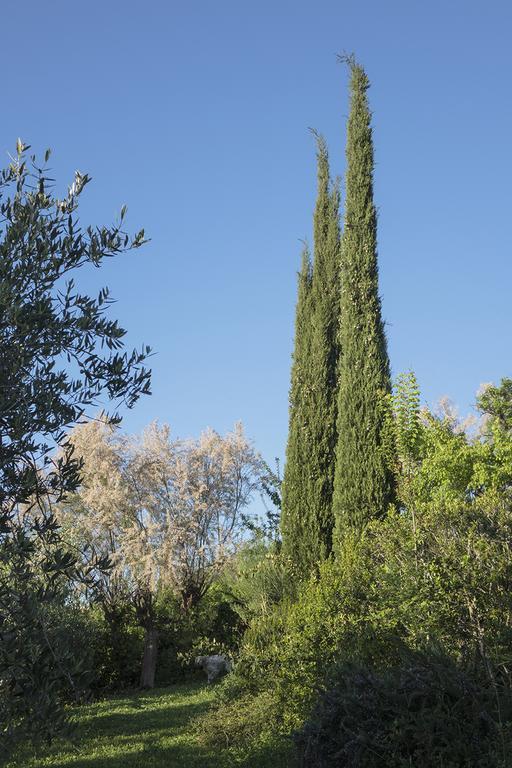 B&B Villa Panicucci Livorno Zewnętrze zdjęcie